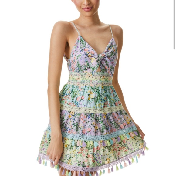 ALICE + OLIVIA EC - Picture 3 of 7